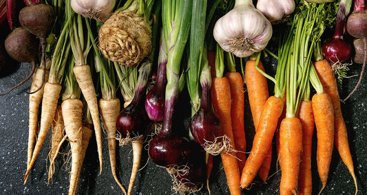 Władcy Ogrodu: Dlaczego Korzeniowe Warzywa Powinny Być Bazą Twojej Kuchni?